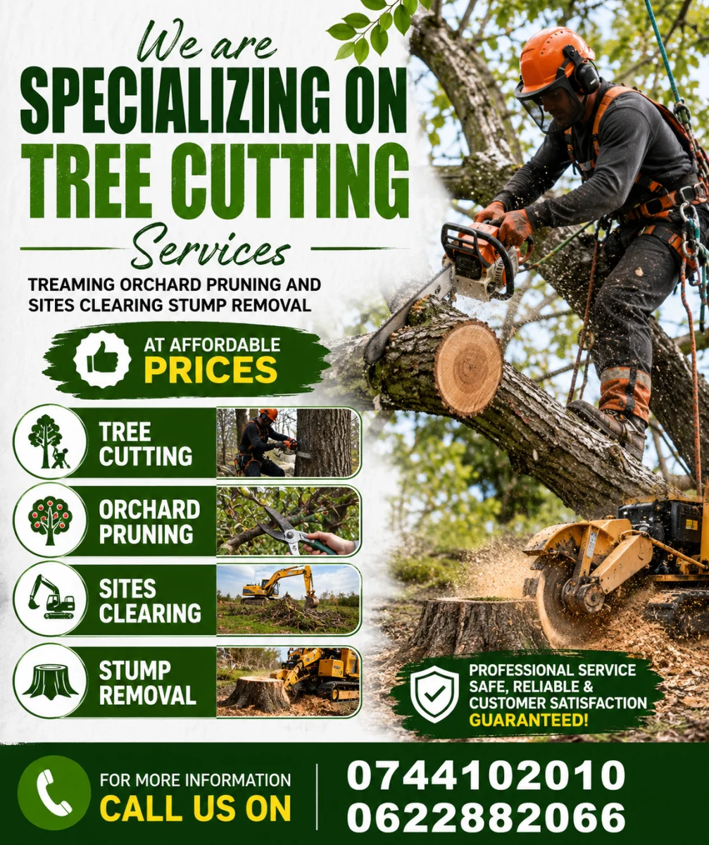 Tree cutting team at work